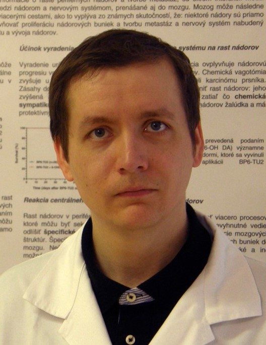 Photography of mravec