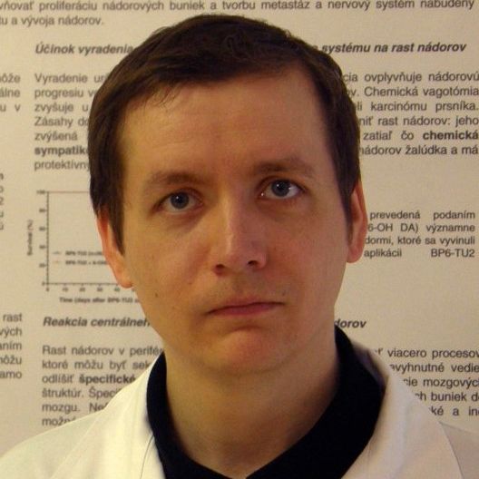 Photography of mravec